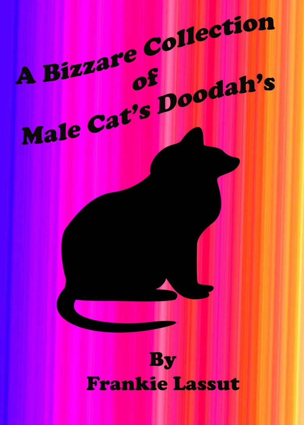 Big bigCover of A Bizarre Collection of Male Cat's Doodah's