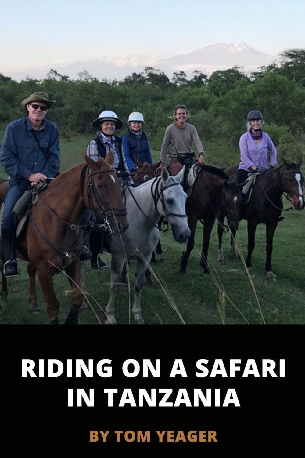 Big bigCover of Riding on a Safari in Tanzania