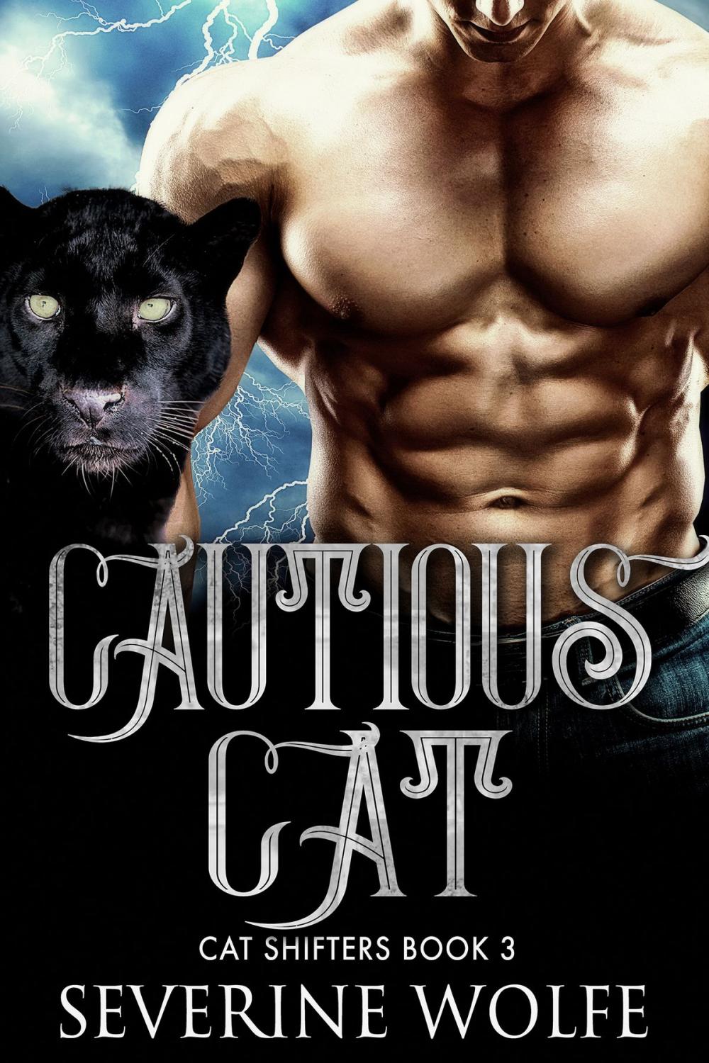 Big bigCover of Cautious Cat