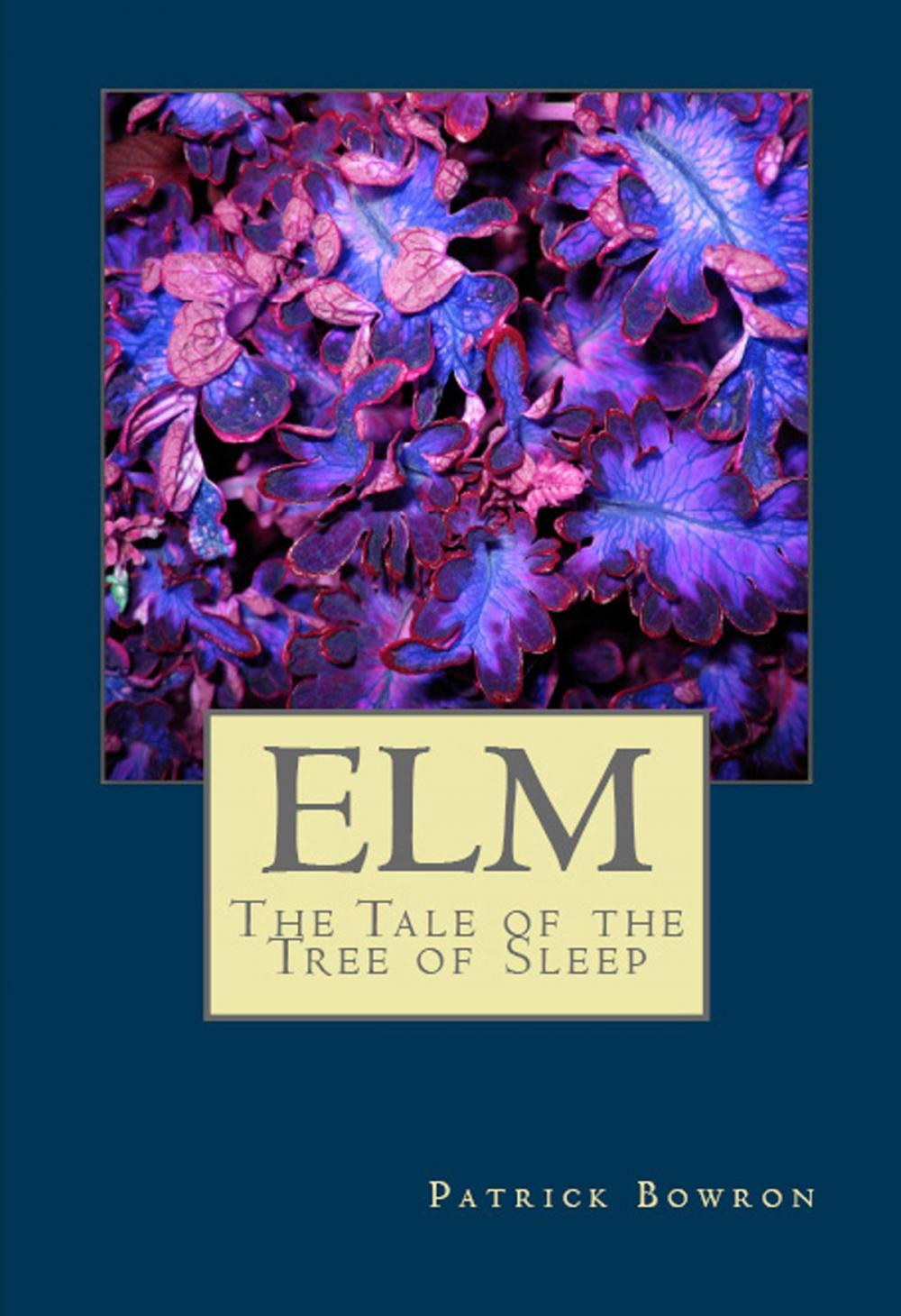 Big bigCover of Elm:The Tale of the Tree of Sleep