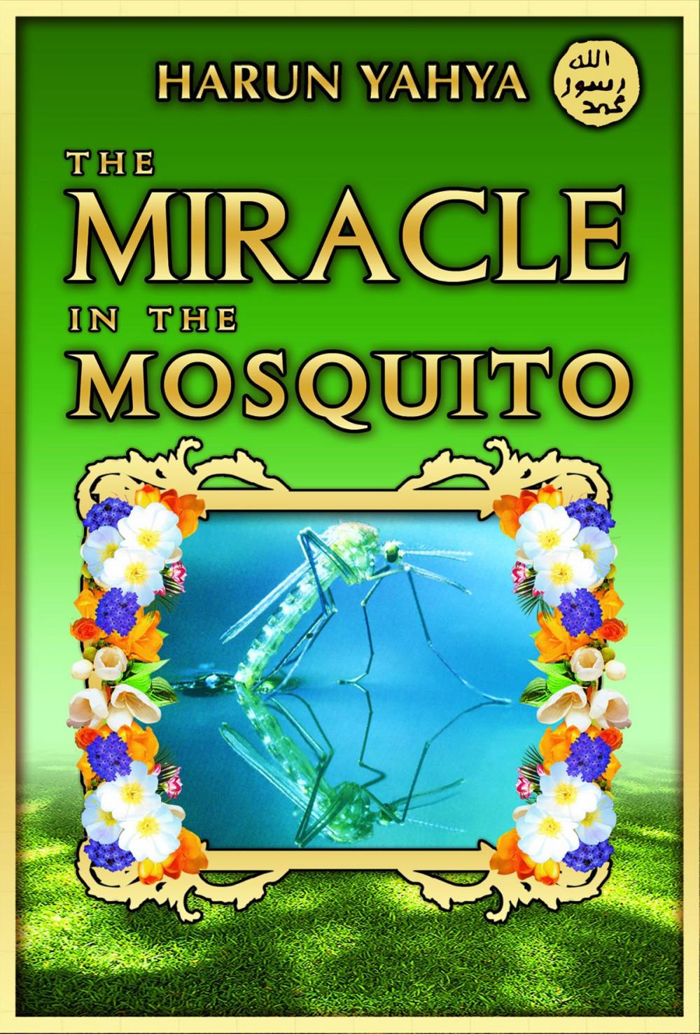 Big bigCover of The Miracle in the Masquito