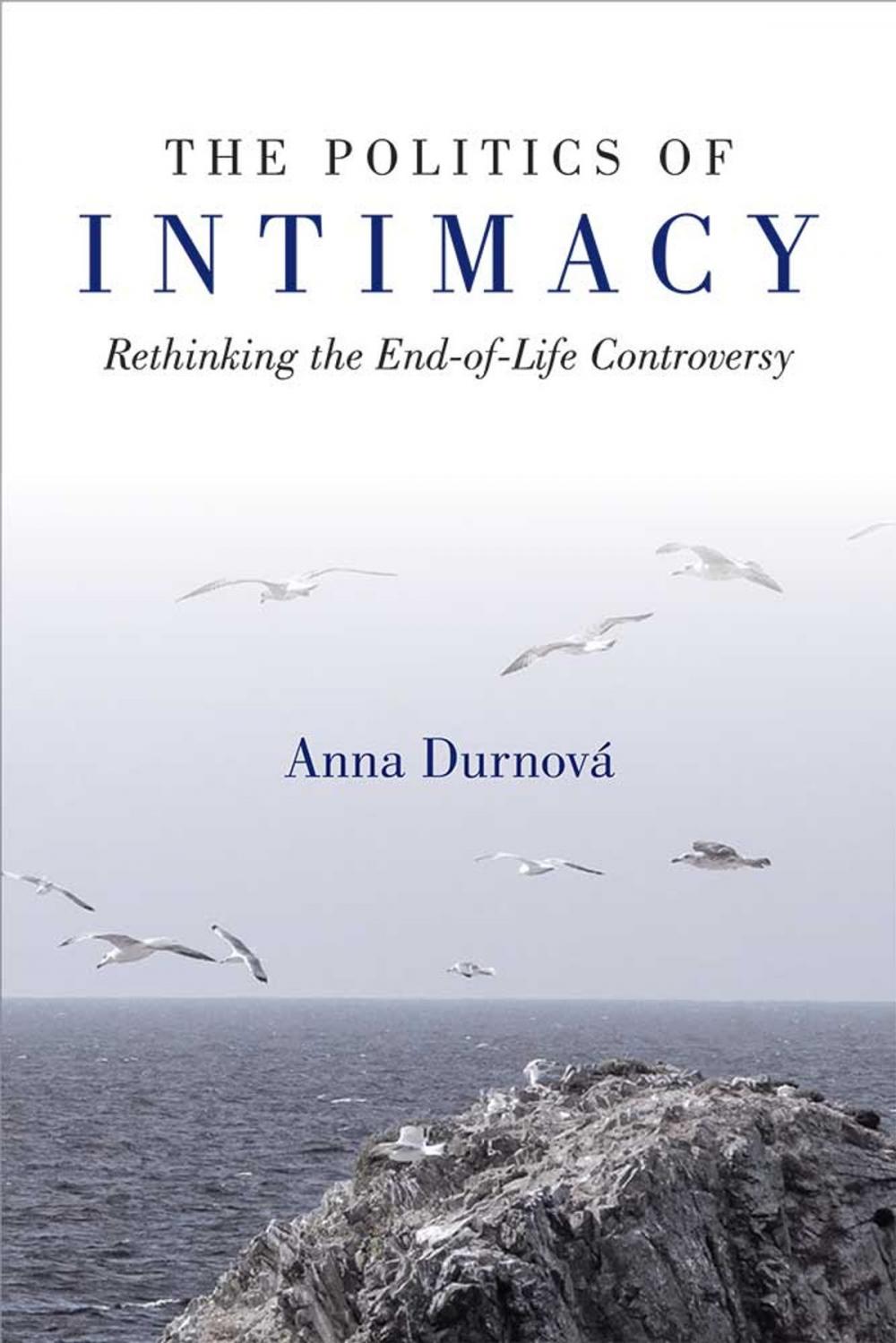 Big bigCover of The Politics of Intimacy