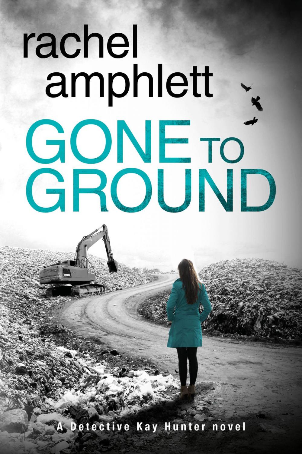 Big bigCover of Gone to Ground (Detective Kay Hunter crime thriller series, Book 6)