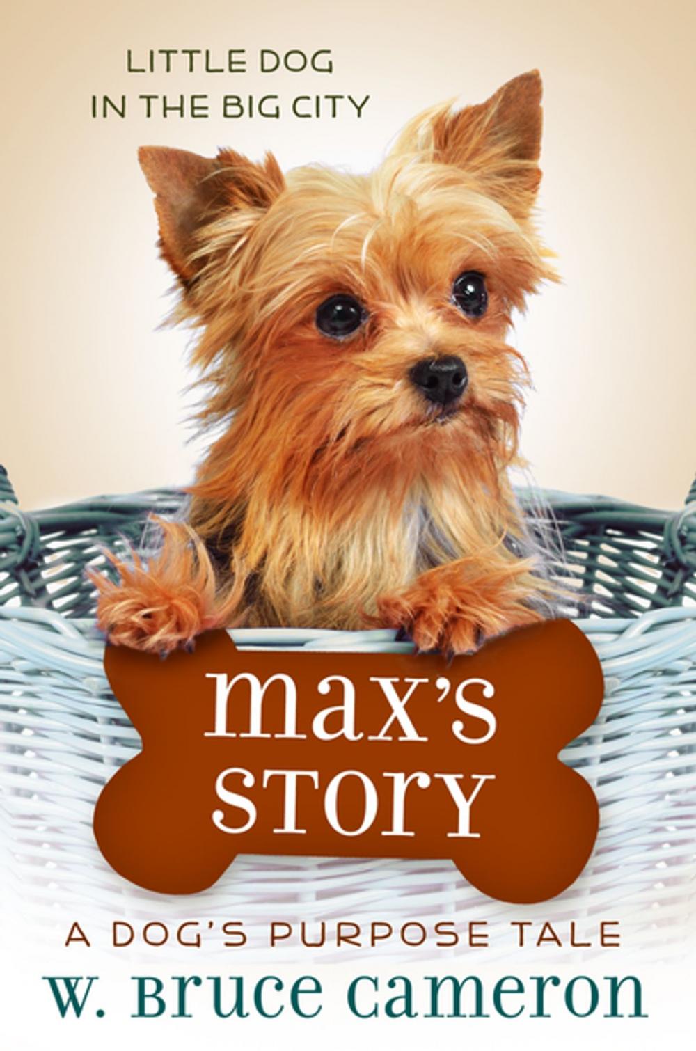 Big bigCover of Max's Story