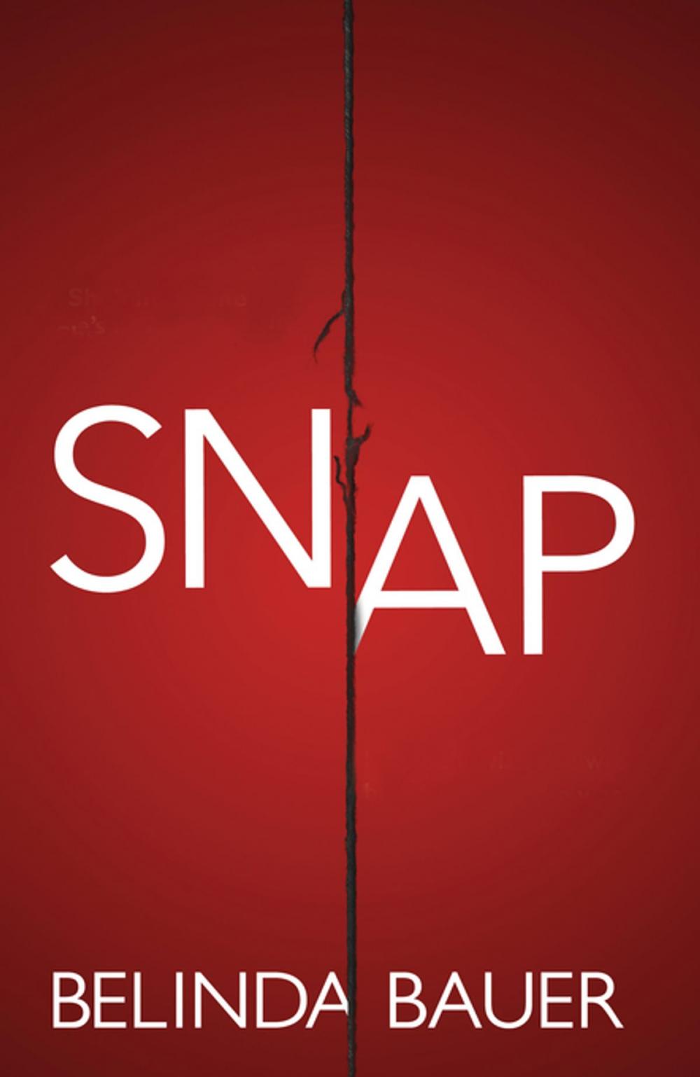 Big bigCover of Snap