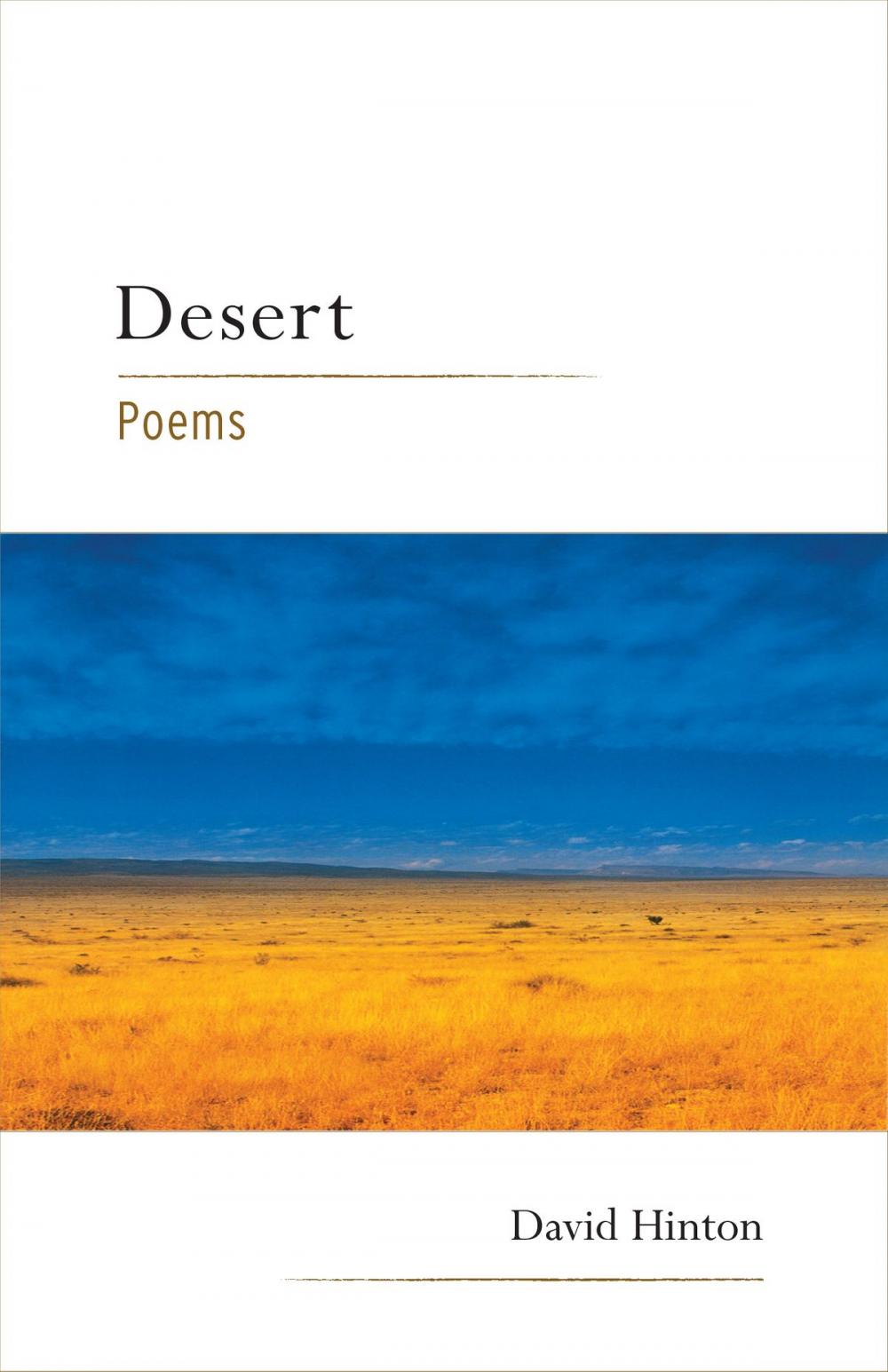 Big bigCover of Desert