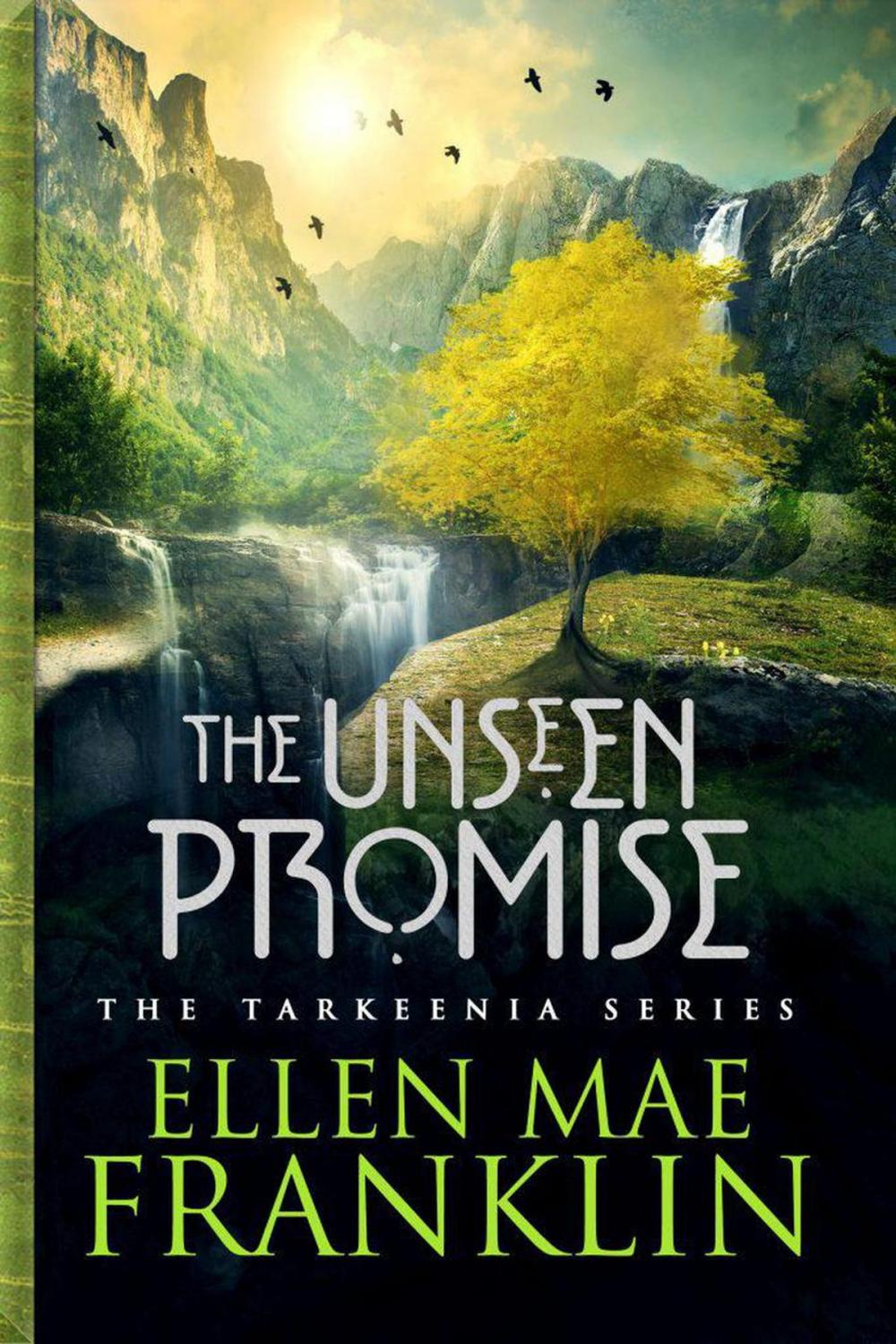 Big bigCover of The Unseen Promise