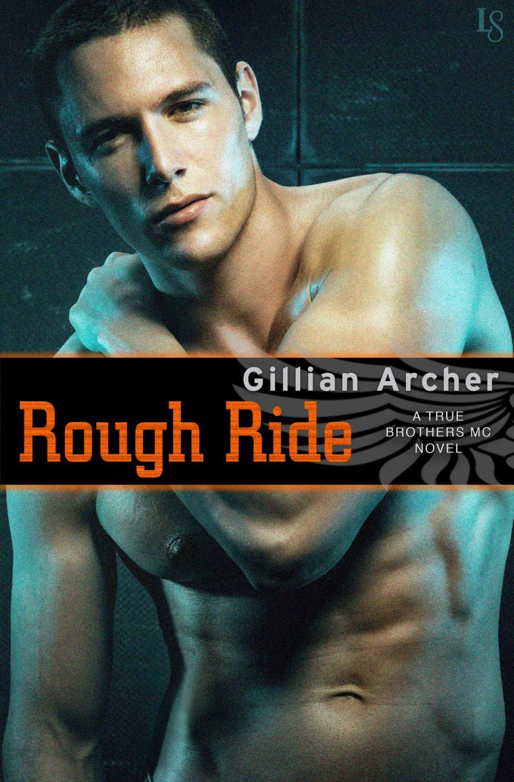 Big bigCover of Rough Ride