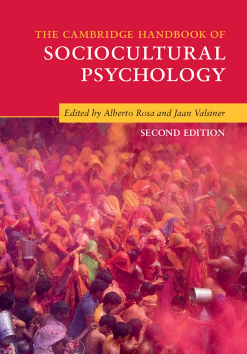 Big bigCover of The Cambridge Handbook of Sociocultural Psychology