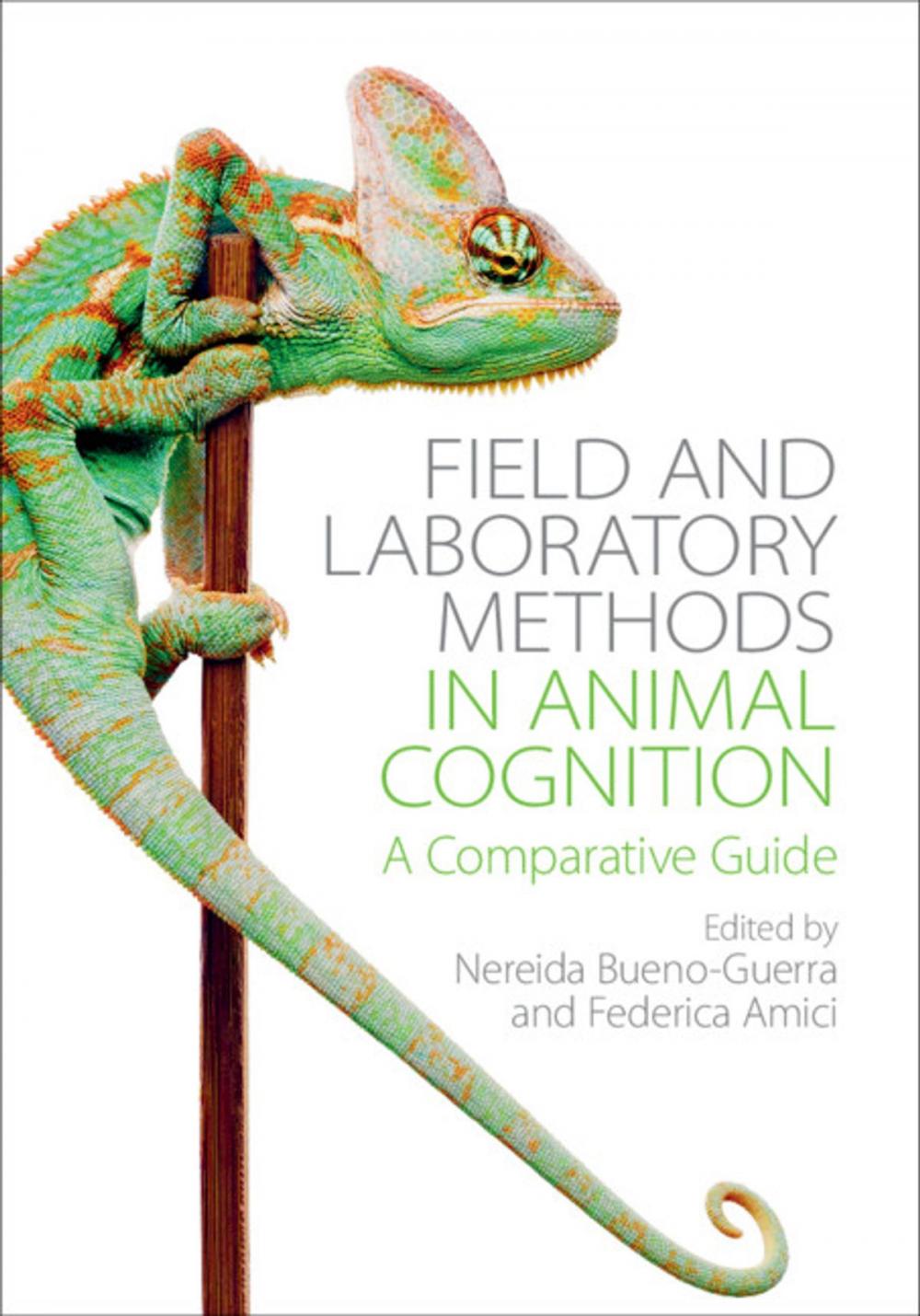 Big bigCover of Field and Laboratory Methods in Animal Cognition