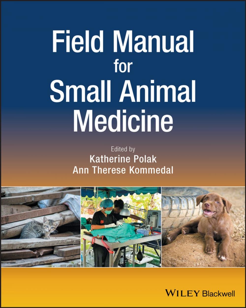 Big bigCover of Field Manual for Small Animal Medicine