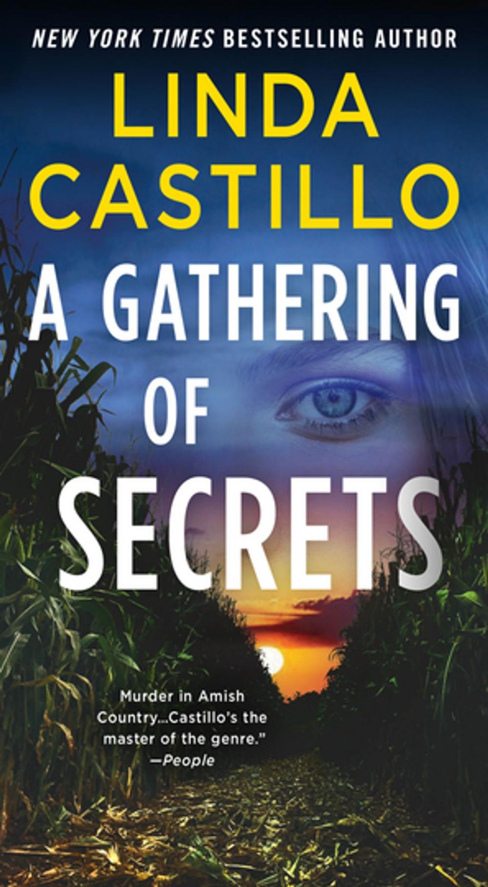 Big bigCover of A Gathering of Secrets