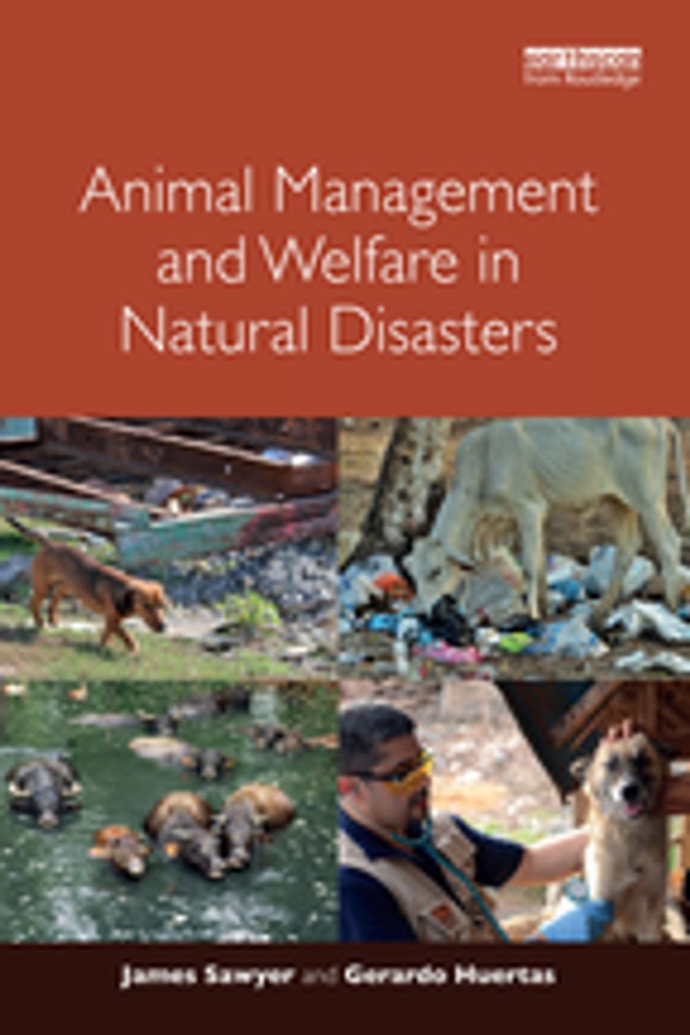 Big bigCover of Animal Management and Welfare in Natural Disasters