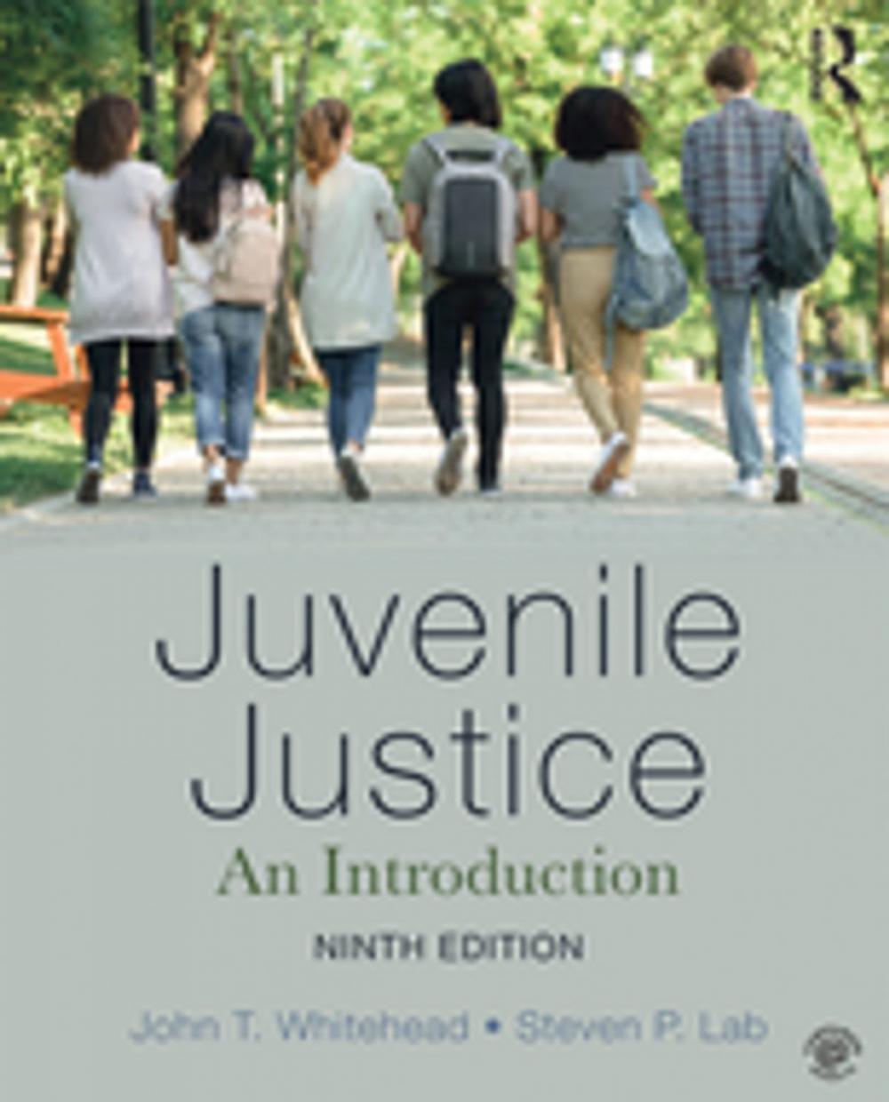 Big bigCover of Juvenile Justice