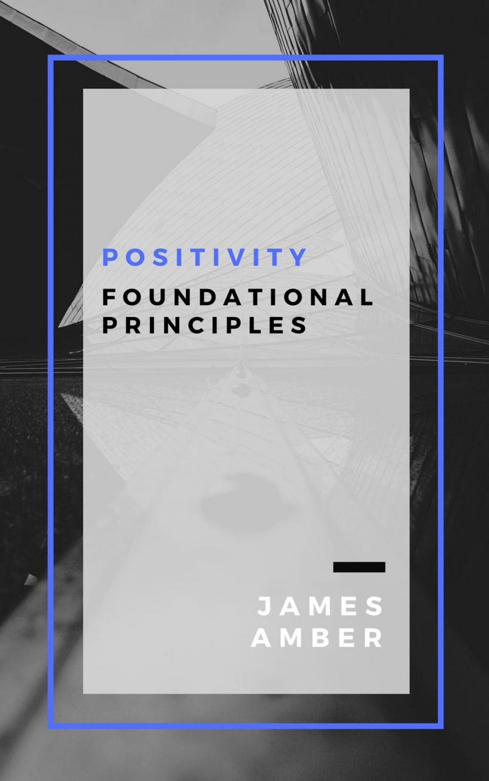 Big bigCover of Positivity: Foundational Principles