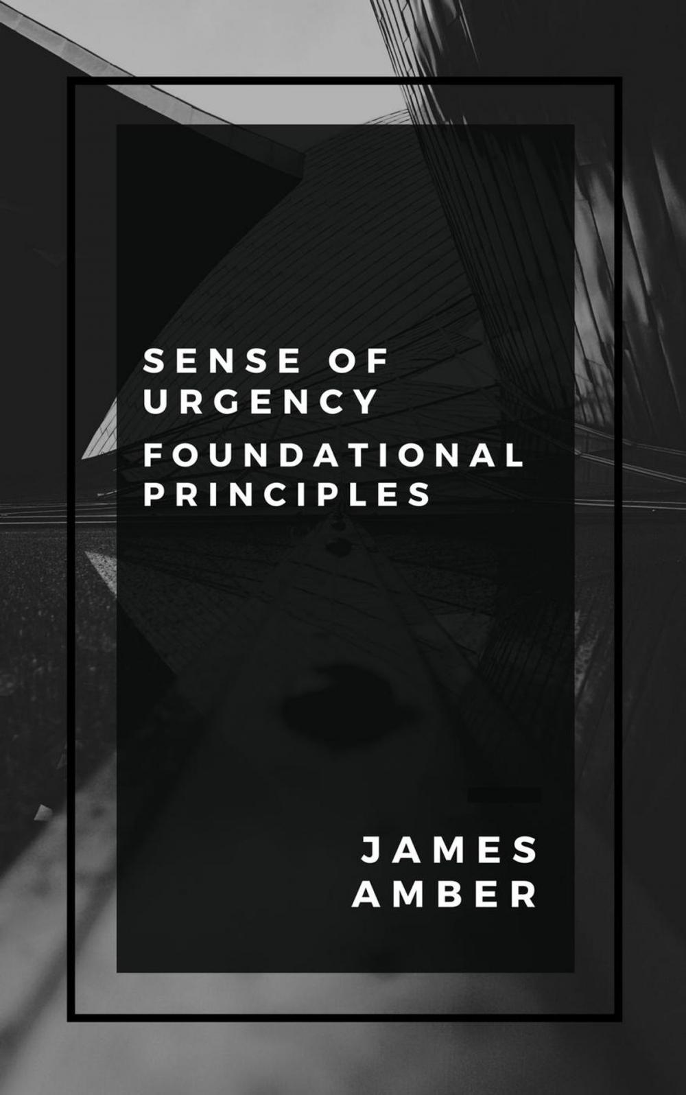 Big bigCover of Sense of Urgency: Foundational Principles