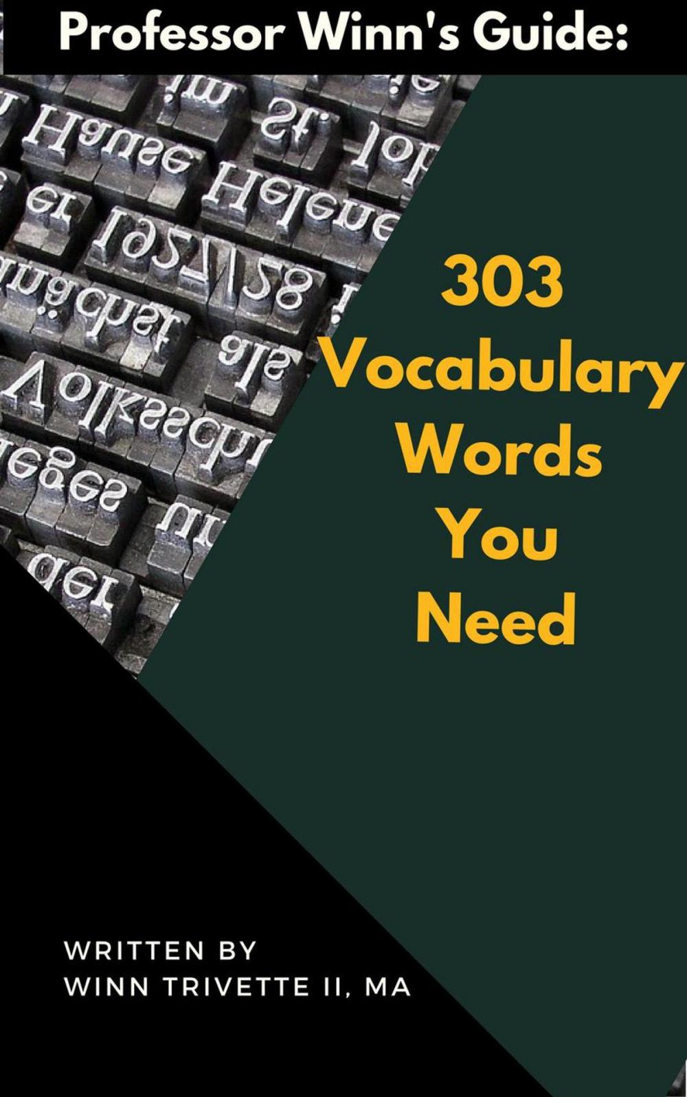 Big bigCover of 303 Vocabulary Words You Need