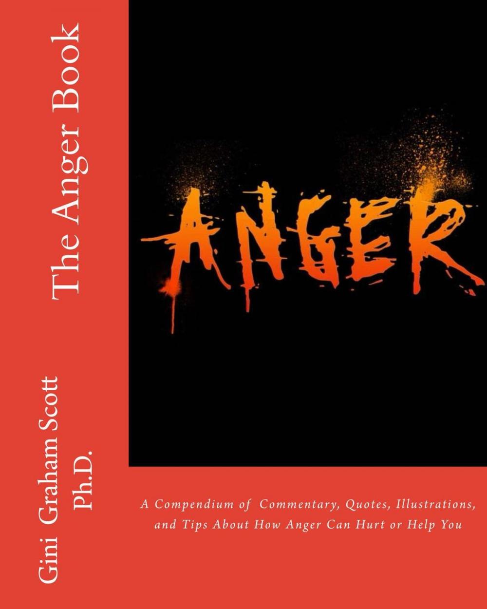 Big bigCover of The Anger Book