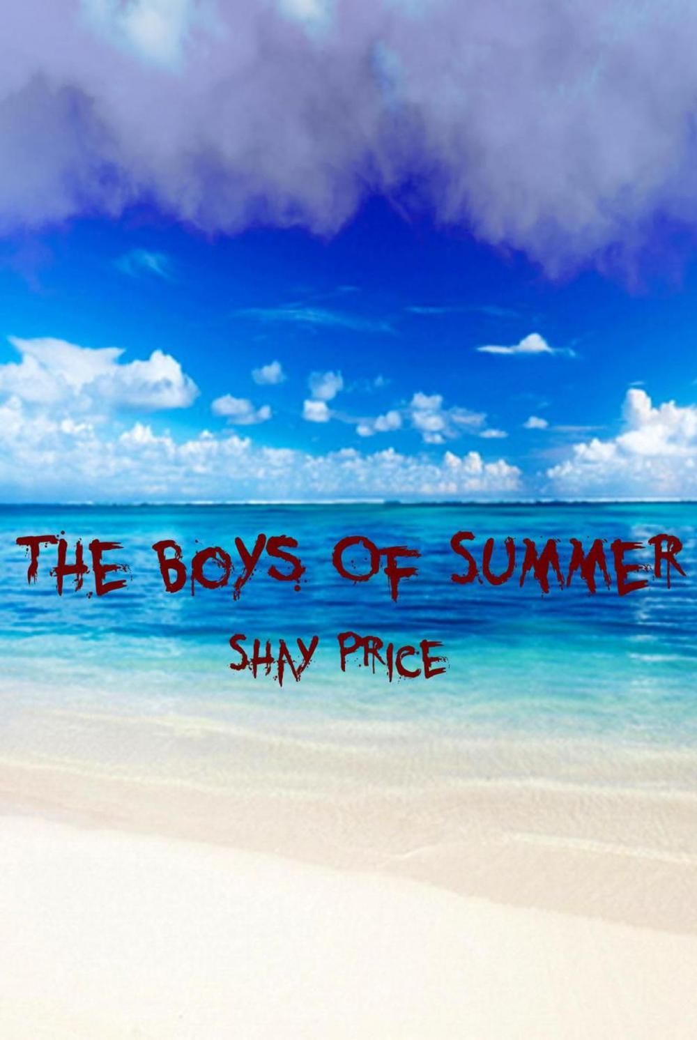 Big bigCover of The Boys Of Summer