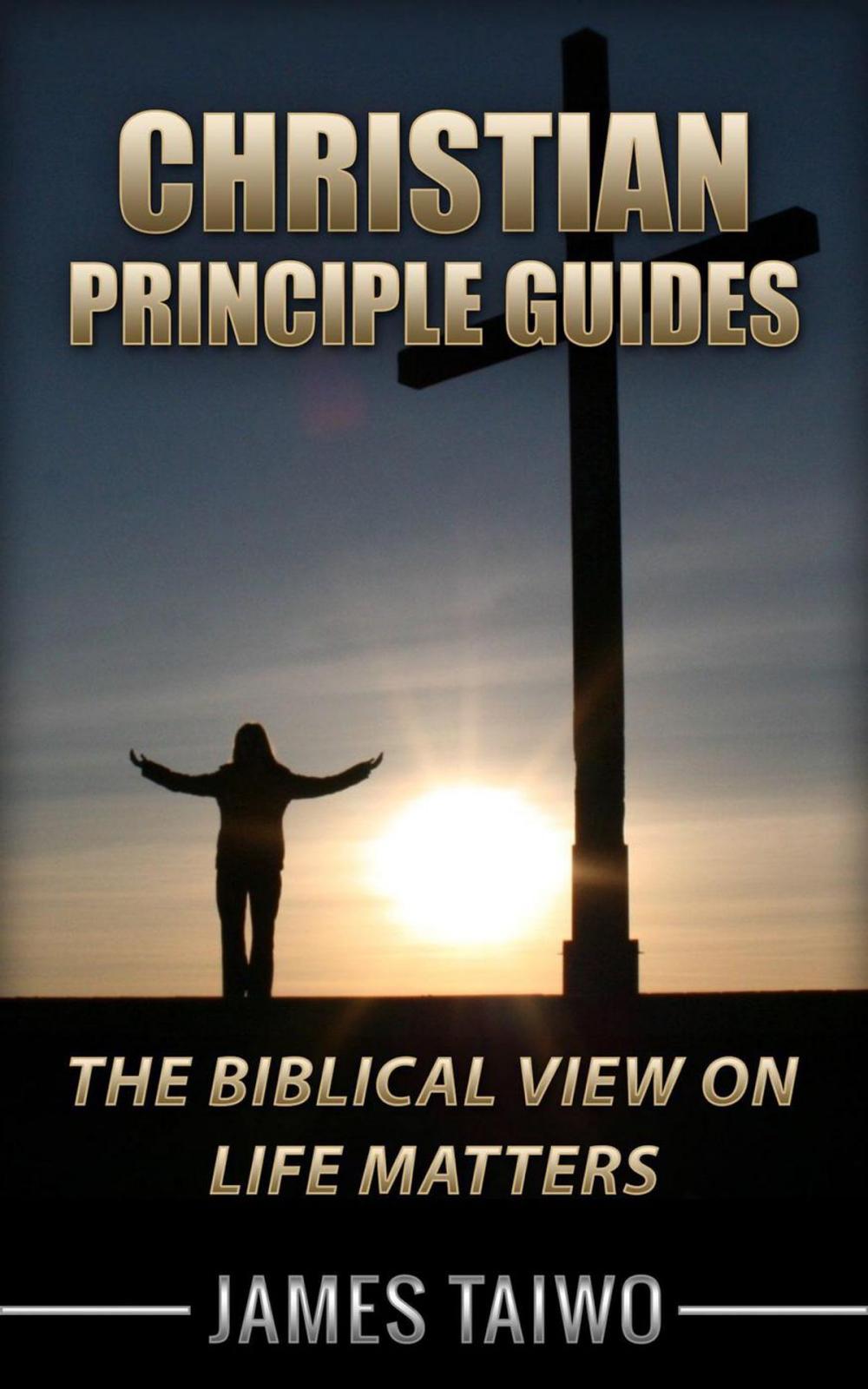 Big bigCover of Christian Principle Guides