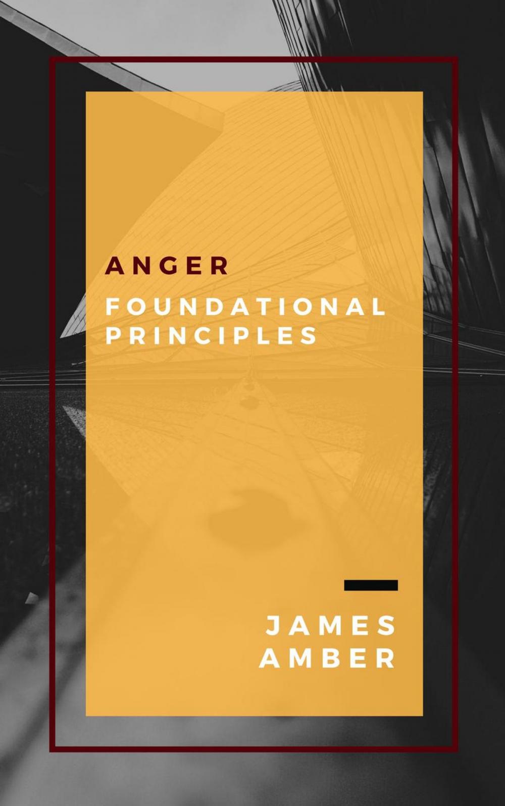 Big bigCover of Anger: Foundational Principles