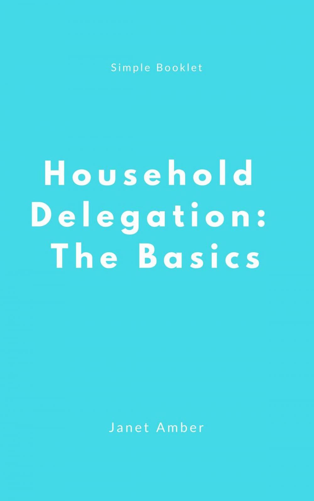 Big bigCover of Household Delegation: The Basics