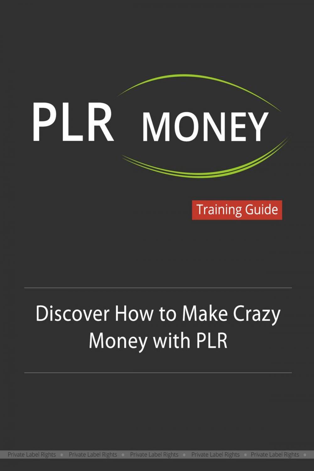 Big bigCover of PLR Money Made Easy