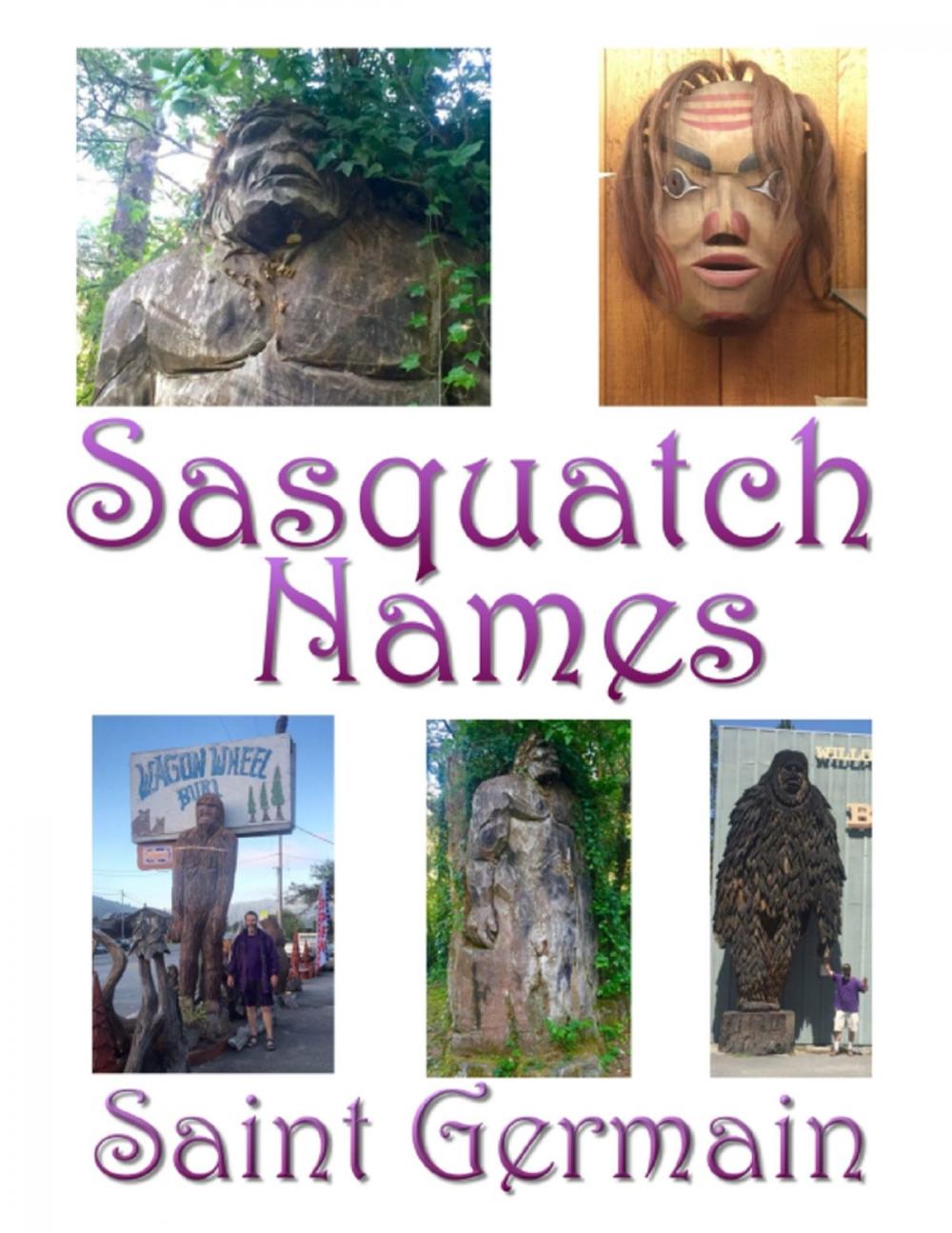 Big bigCover of Sasquatch Names