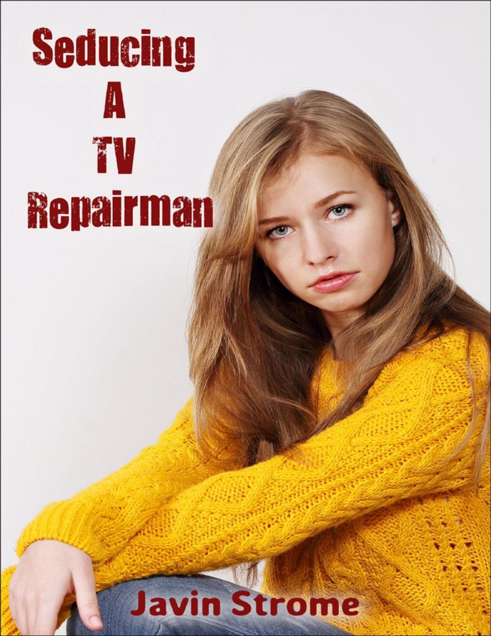 Big bigCover of Seducing a Tv Repairman