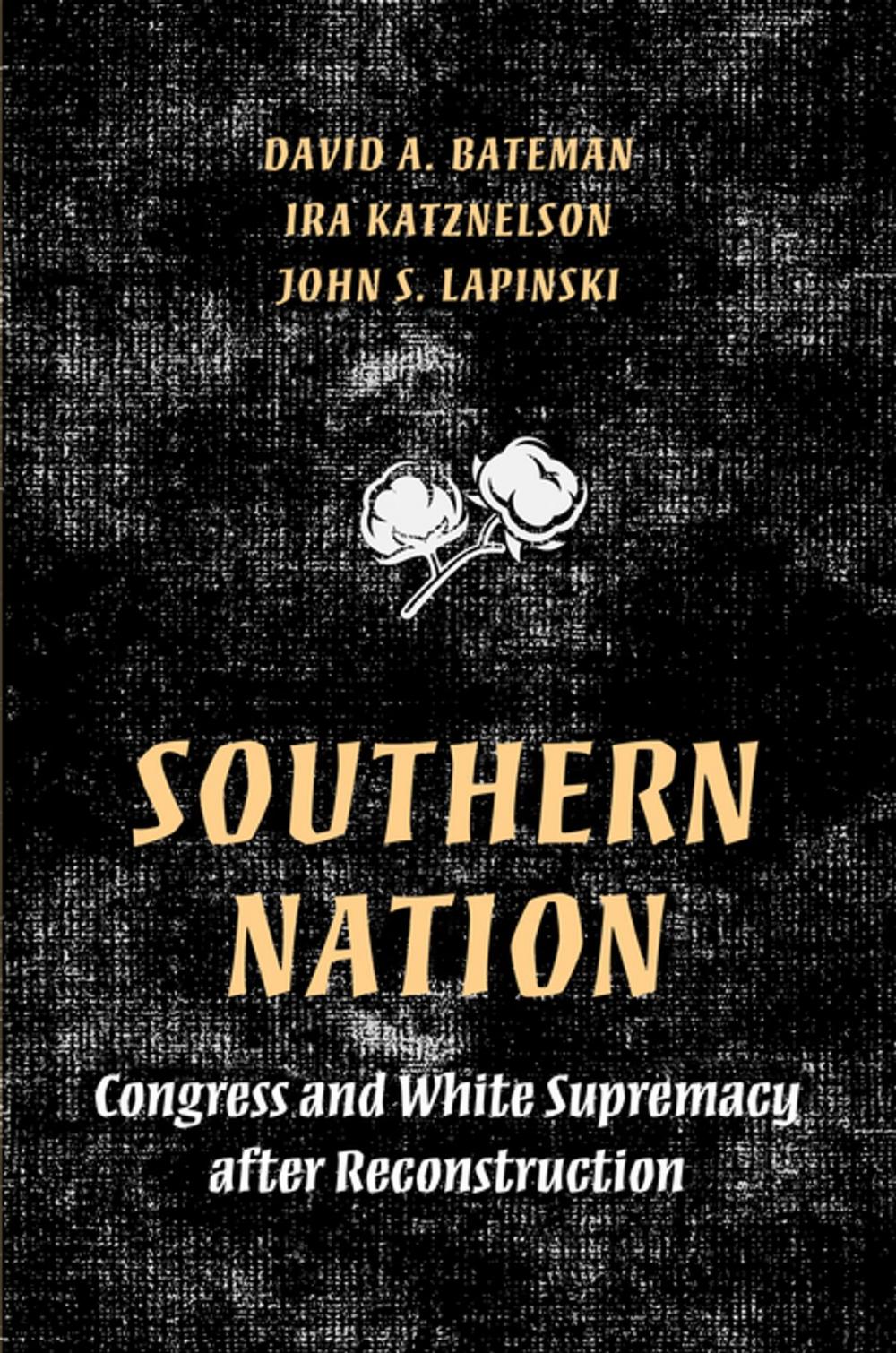 Big bigCover of Southern Nation