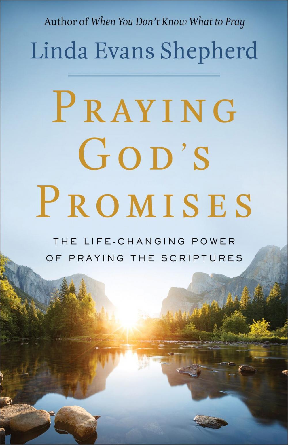 Big bigCover of Praying God's Promises