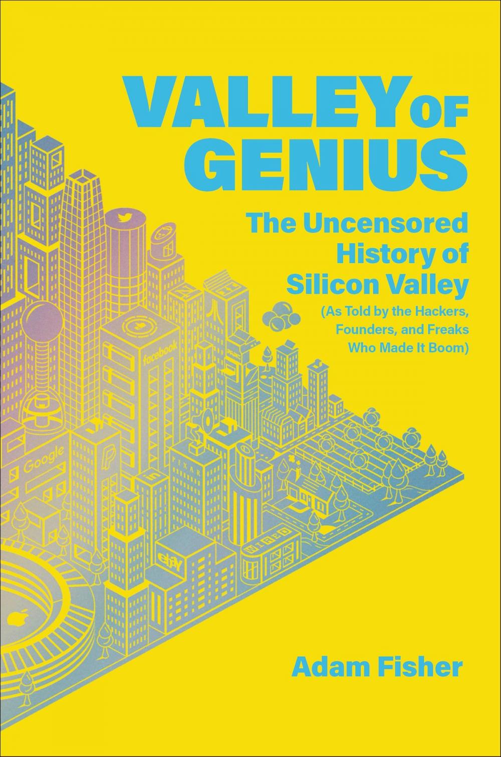 Big bigCover of Valley of Genius