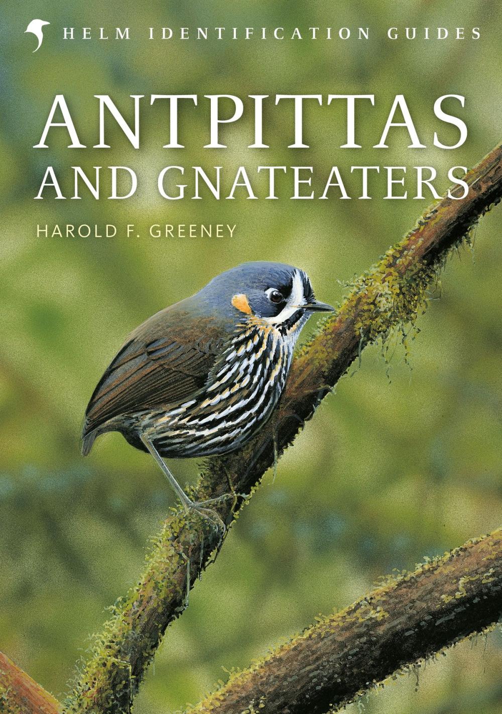 Big bigCover of Antpittas and Gnateaters