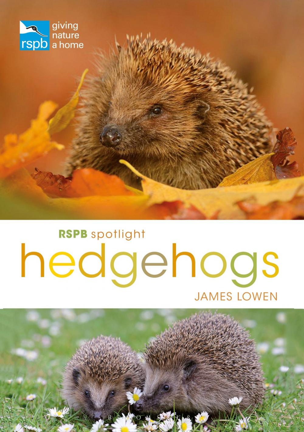 Big bigCover of RSPB Spotlight Hedgehogs