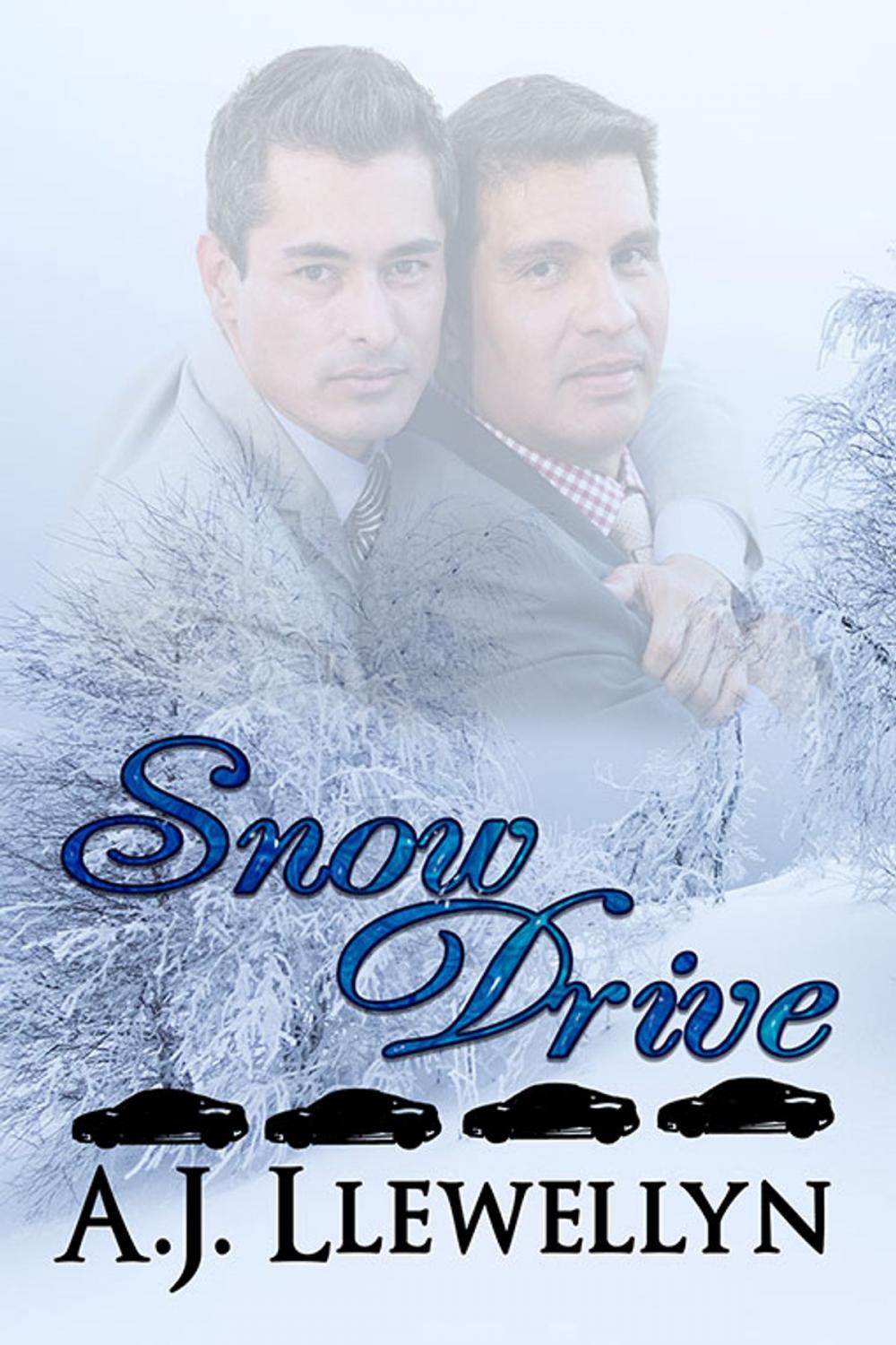 Big bigCover of Snow Drive