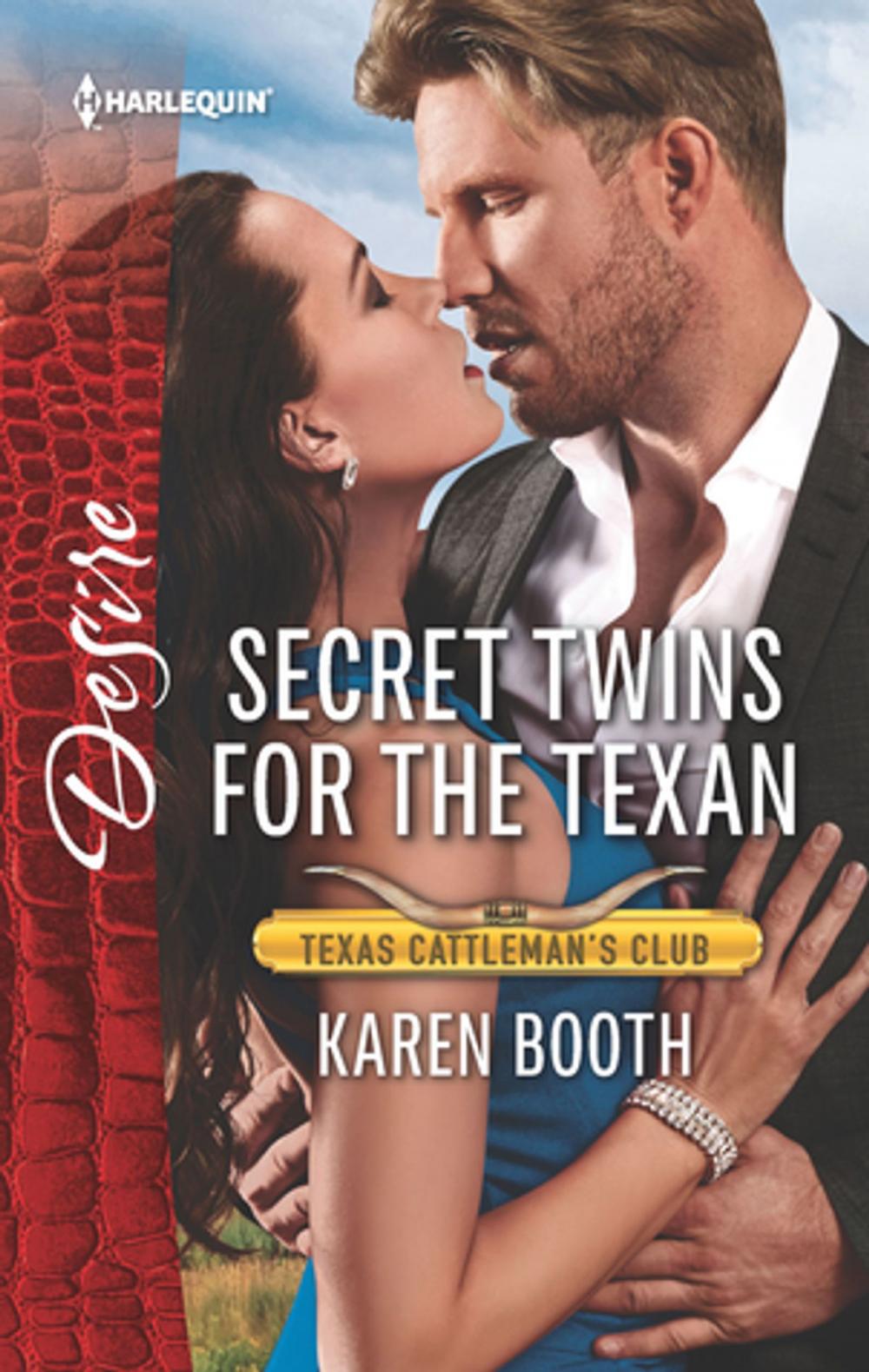 Big bigCover of Secret Twins for the Texan