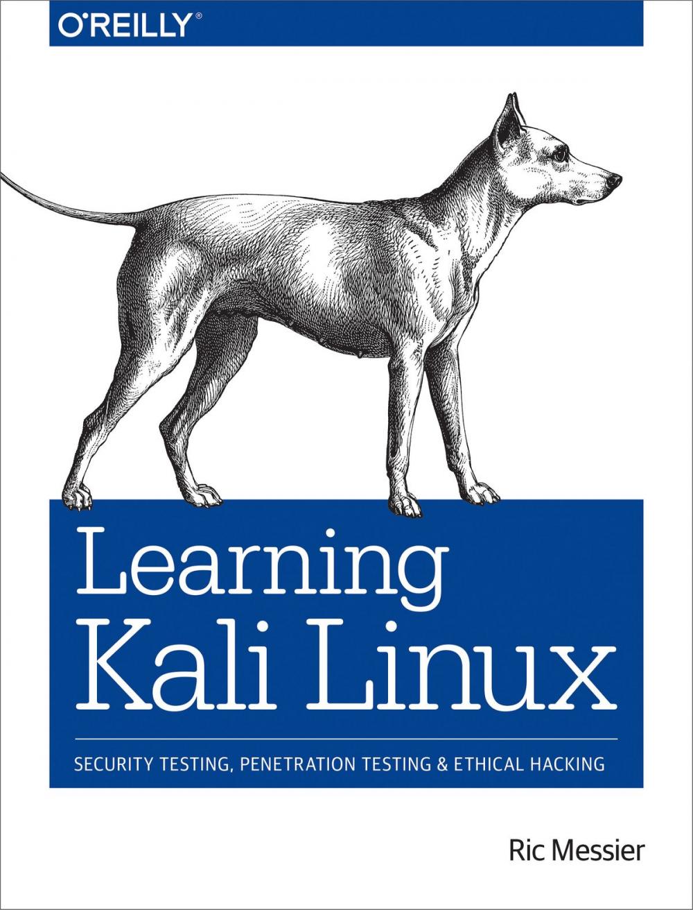 Big bigCover of Learning Kali Linux