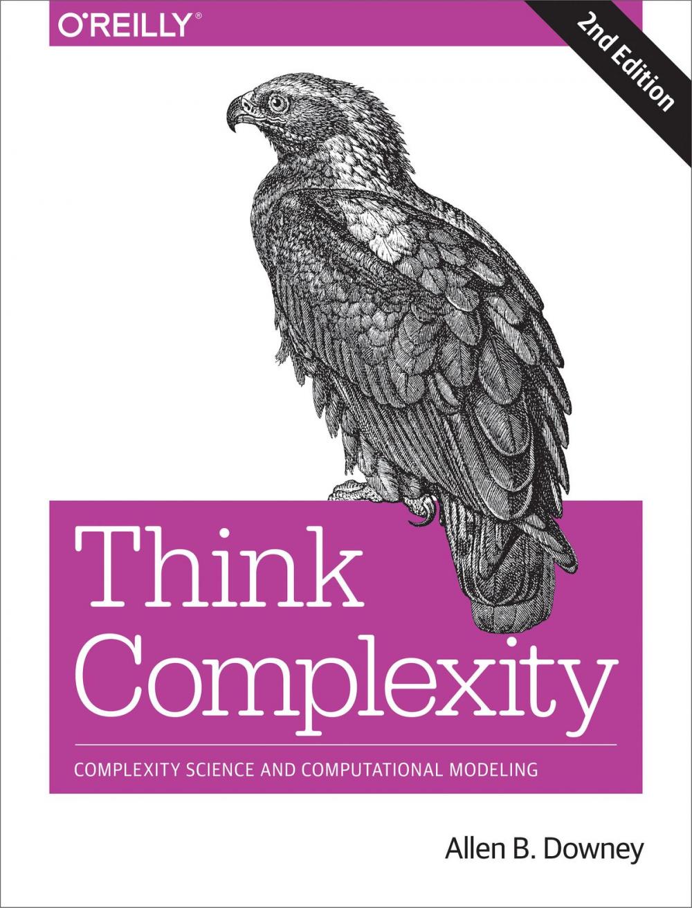 Big bigCover of Think Complexity