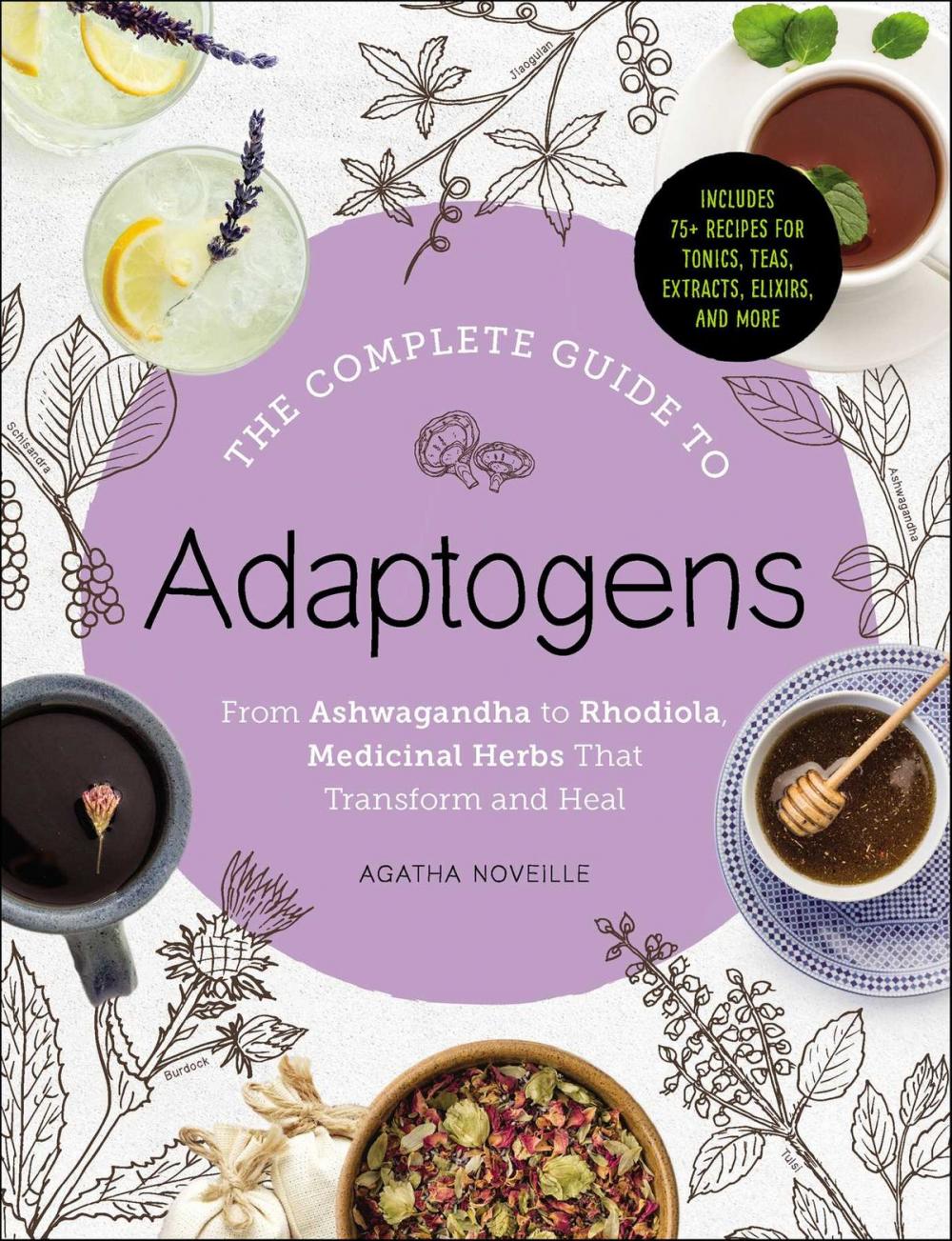 Big bigCover of The Complete Guide to Adaptogens