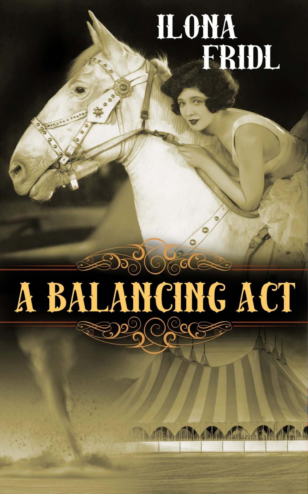 Big bigCover of A Balancing Act