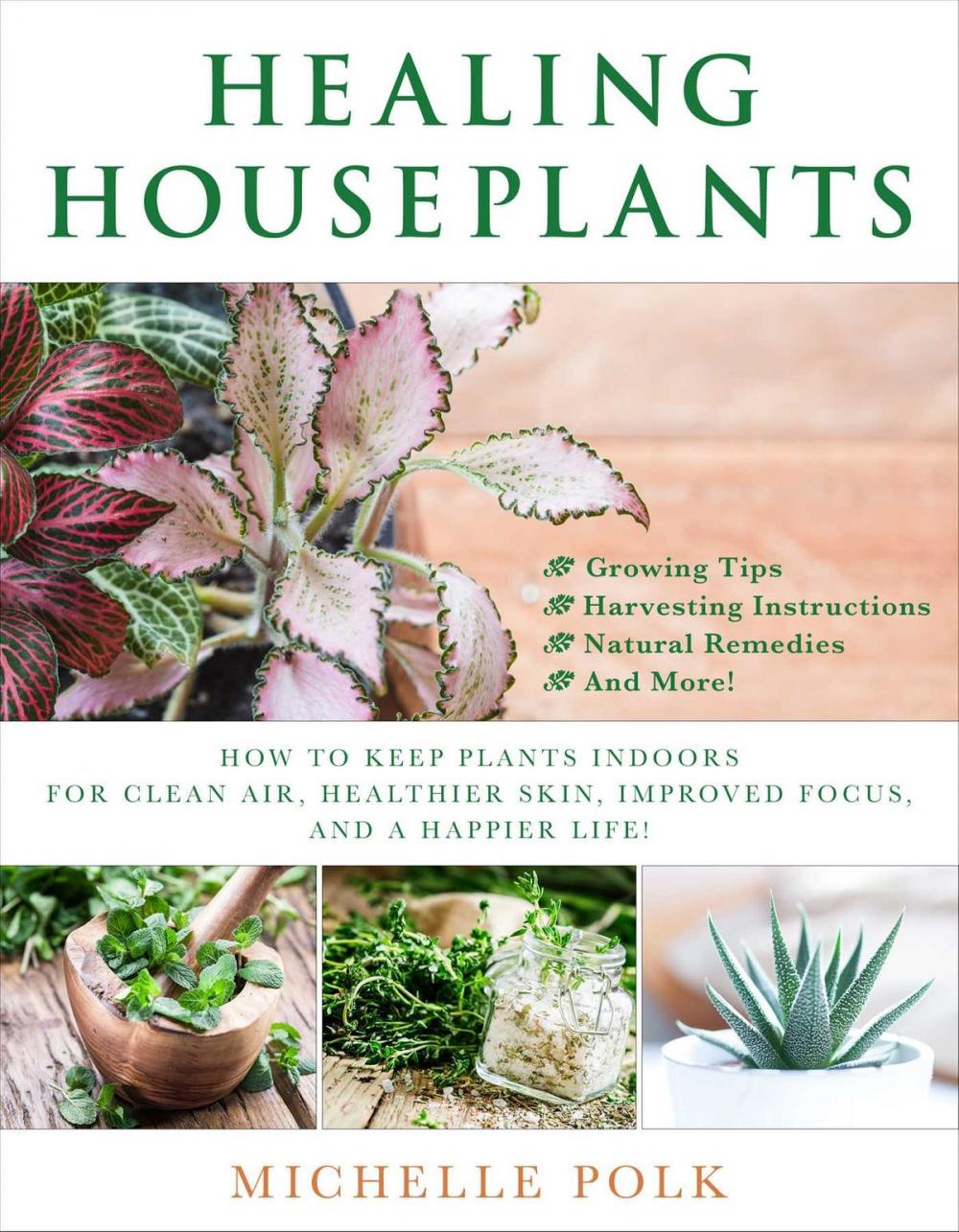 Big bigCover of Healing Houseplants