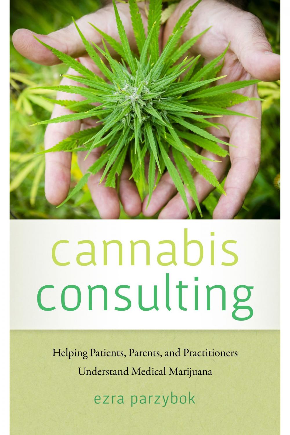 Big bigCover of Cannabis Consulting