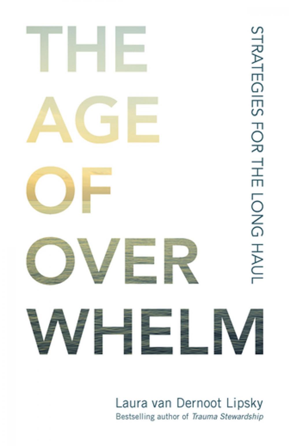 Big bigCover of The Age of Overwhelm