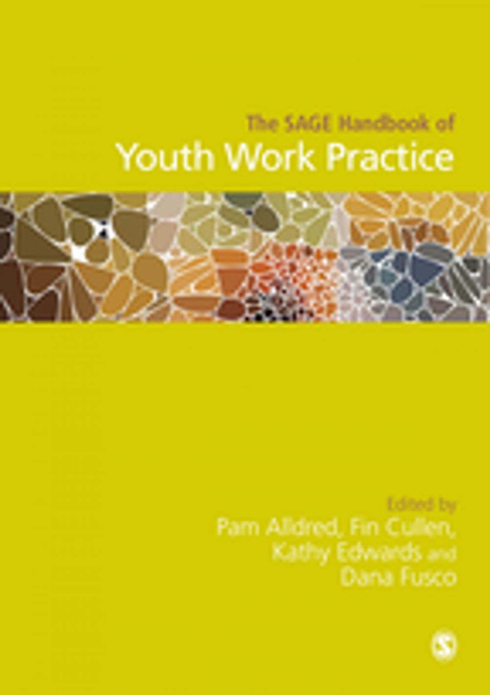 Big bigCover of The SAGE Handbook of Youth Work Practice