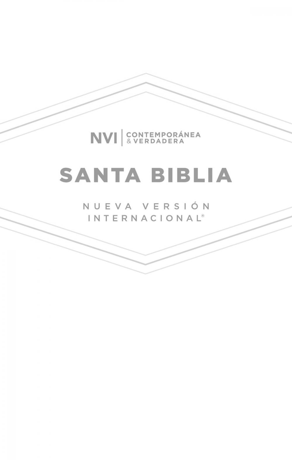 Big bigCover of Santa Biblia Nueva Versión Internacional