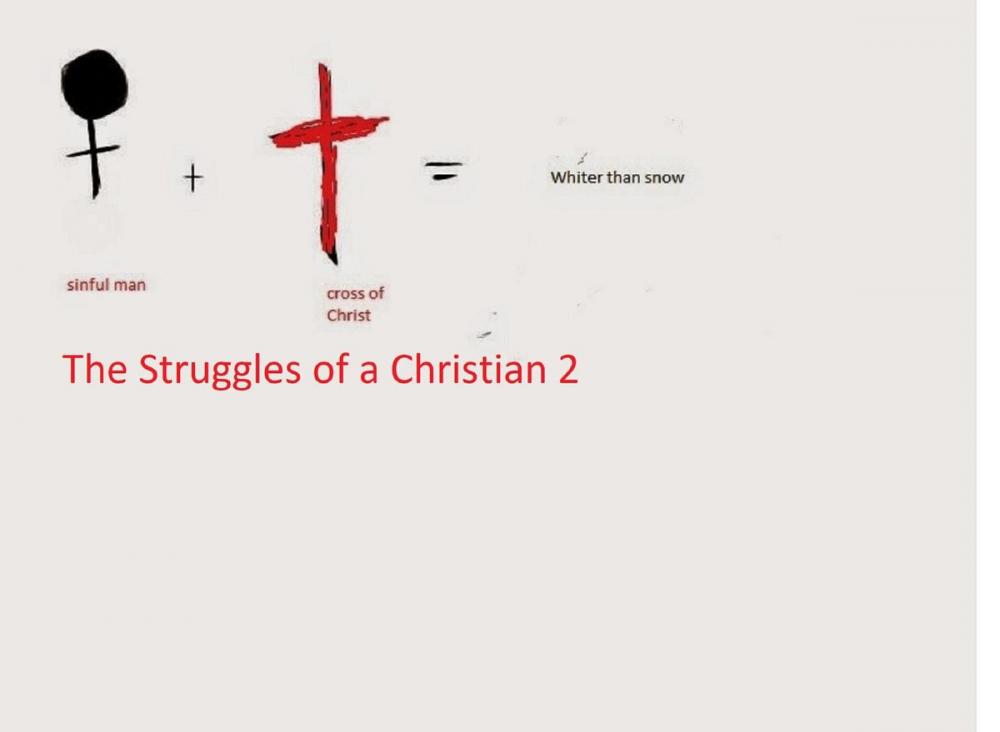 Big bigCover of The Struggles of a Christian 2