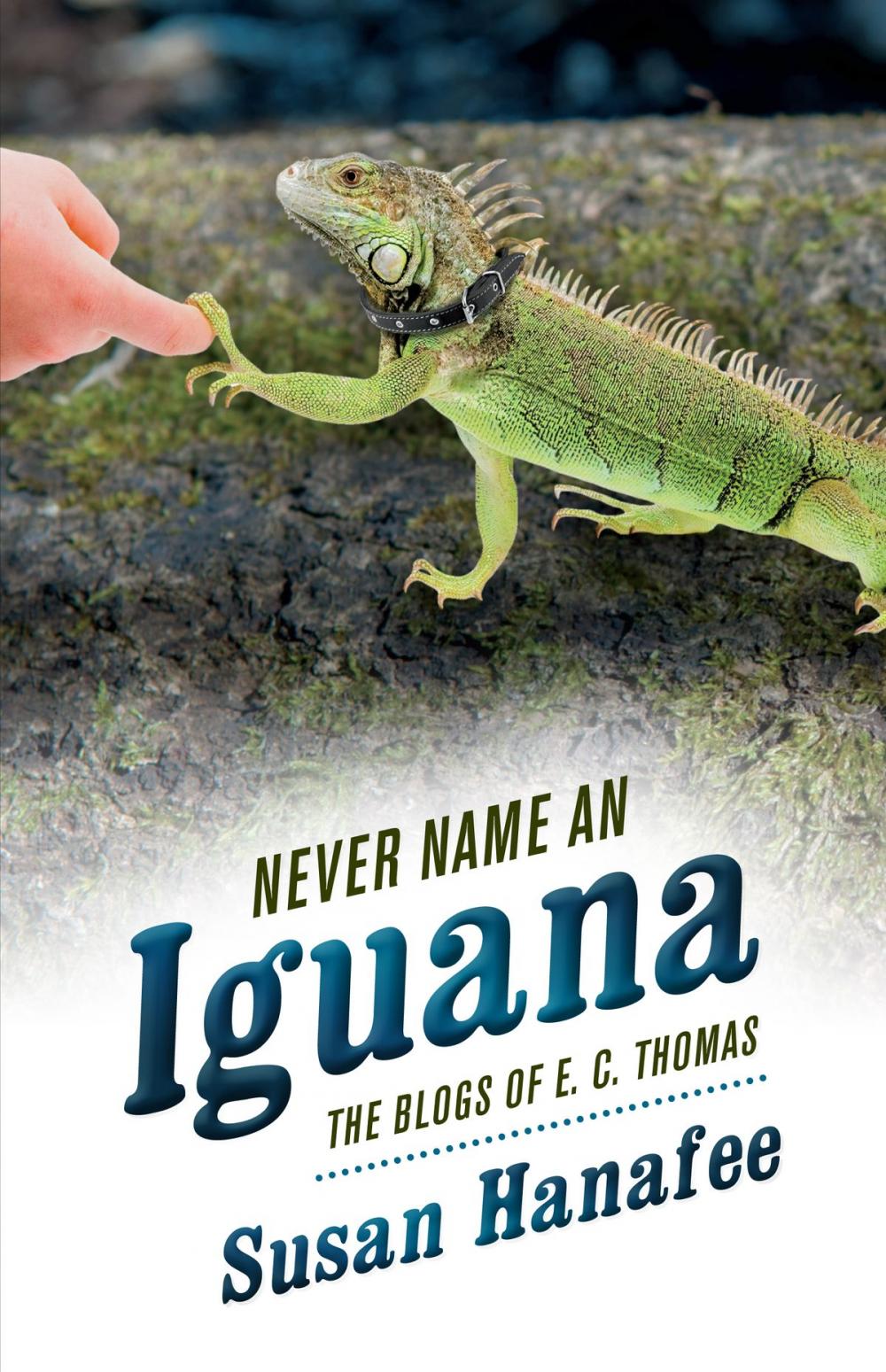 Big bigCover of Never Name an Iguana