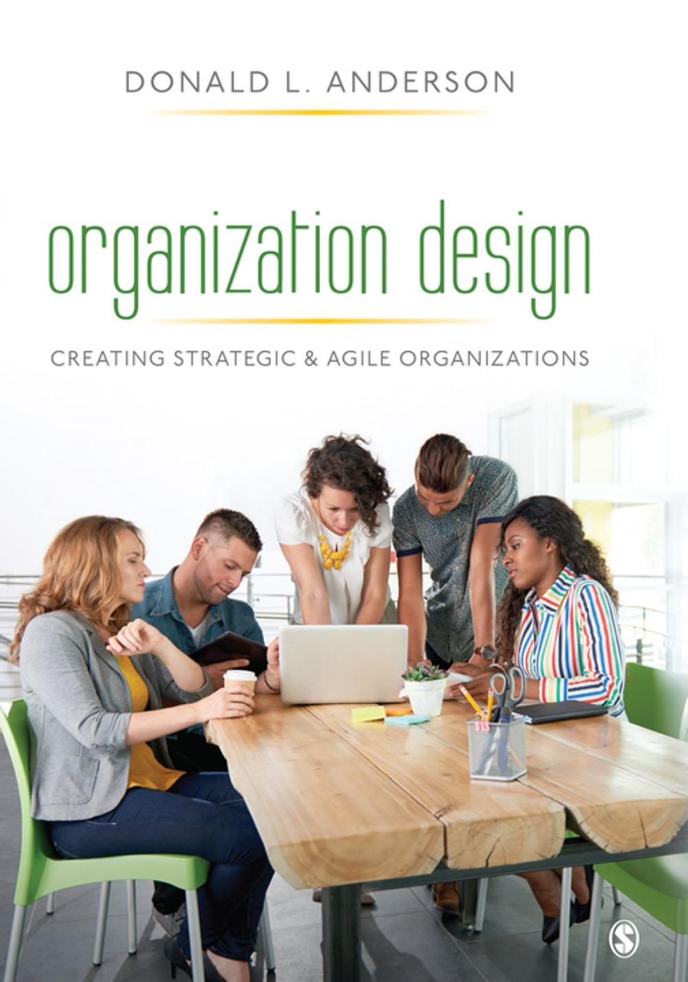 Big bigCover of Organization Design