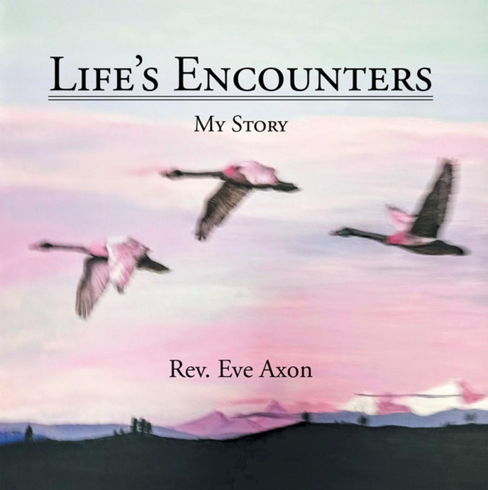 Big bigCover of Life’s Encounters