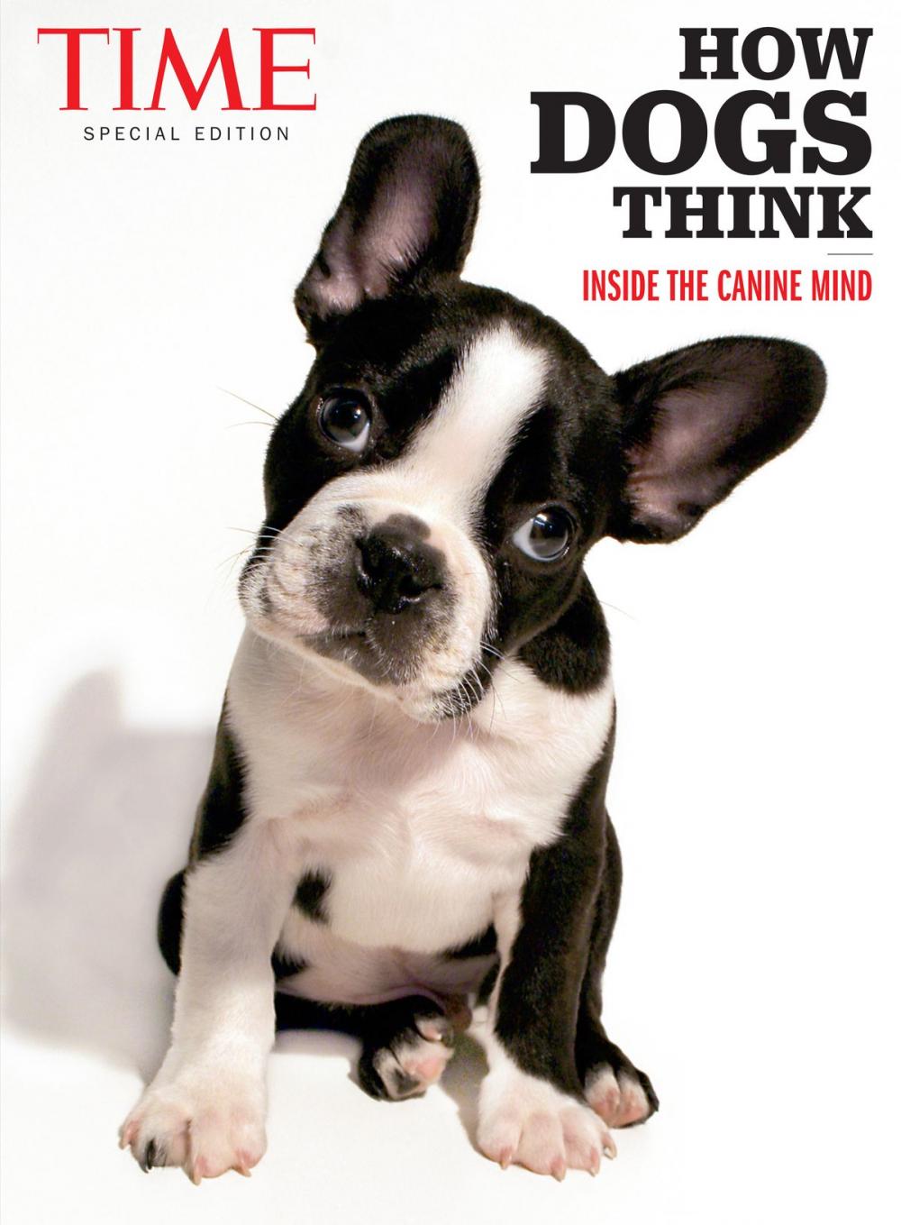 Big bigCover of TIME How Dogs Think